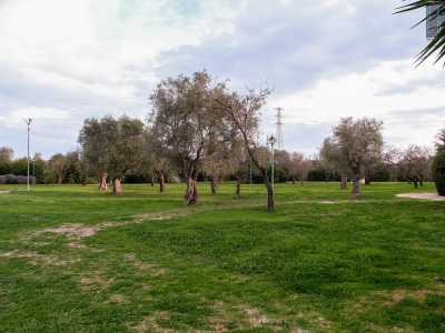 Il campestre percorso ci porta alle spalle della villa dove si estende un vasto appezzamento di terra con ulivi secolari, alberi di mandorle...